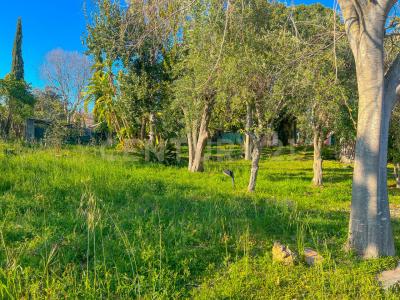 Acireale, Sicilia 95024, Ý