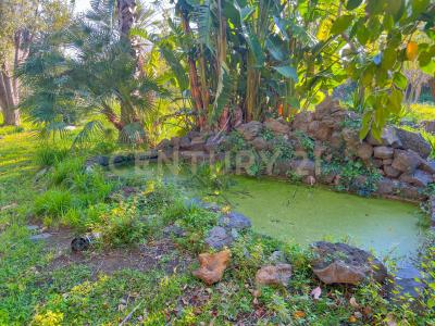 Acireale, Sicilia 95024, Ý