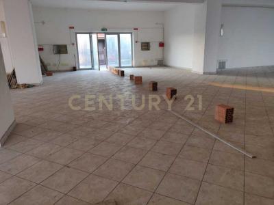 Aci Sant'Antonio, Sicilia 95025, Italy