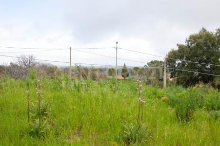 Acireale, Sicilia 95024, Italia