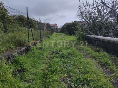 Acireale, Sicilia 95024, Italy