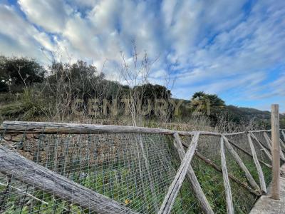 Strada Vicinale del Grottino, Monte Argentario, Toscana 58019, Itália