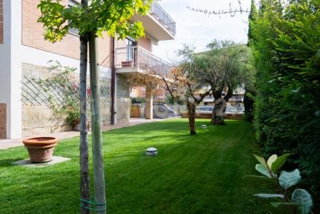 VIA MASSACCIO, Grosseto, Toscana 58100, Italy