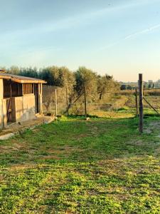 Strada Pedemontana, Capalbio, Toscana 58011, İtalya