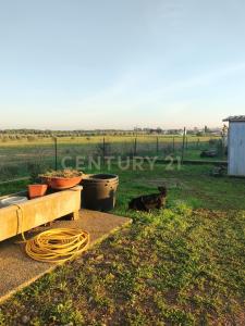 Strada Pedemontana, Capalbio, Toscana 58011, İtalya