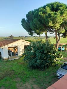 Strada Cava del Gesso, Capalbio, Toscana 58011, İtalya