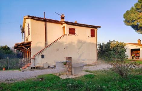 Strada Cava del Gesso, Capalbio, Toscana 58011, İtalya