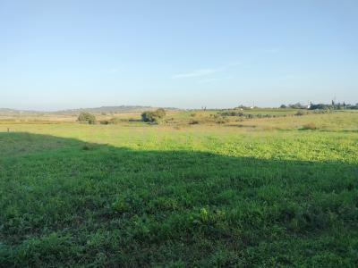 Strada Cava del Gesso, Capalbio, Toscana 58011, İtalya