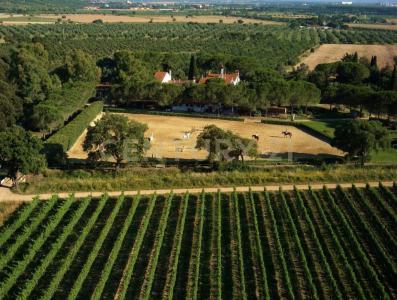 Grosseto, Toscana 58100, Italy