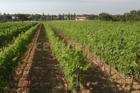 Grosseto, Toscana 58100, Italy