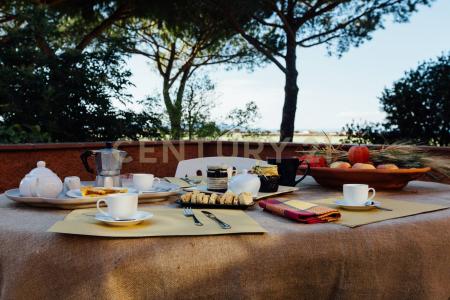 località podere santa maria, Grosseto, Toscana 58045, Italy