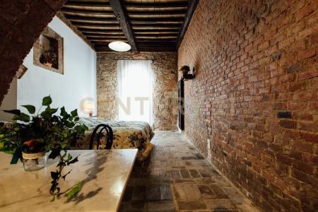 località podere santa maria, Grosseto, Toscana 58045, Italy