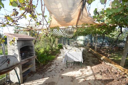 Via Alberto Sordi, Grosseto, Toscana 58100, Italy