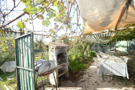 Via Alberto Sordi, Grosseto, Toscana 58100, Italy