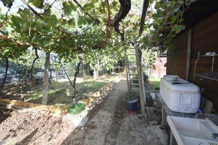 Via Alberto Sordi, Grosseto, Toscana 58100, Italy