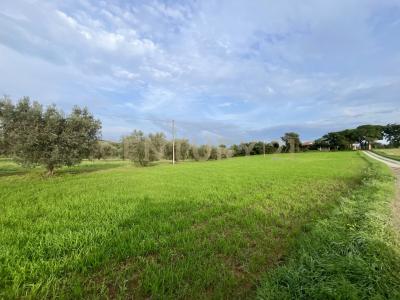 Località le Case, Grosseto, Toscana 58100, Italy