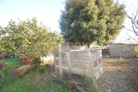 Strada del Querciolo, Grosseto, Toscana 58100, Italy
