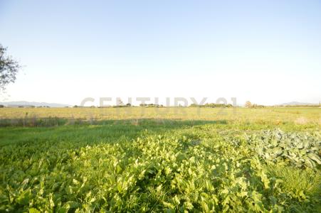 Strada del Querciolo, Grosseto, Toscana 58100, Italy