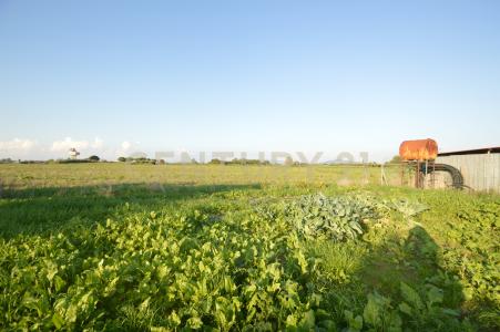 Strada del Querciolo, Grosseto, Toscana 58100, Italy