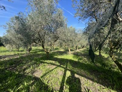 Strada del Querciolo, Grosseto, Toscana 58100, Italy