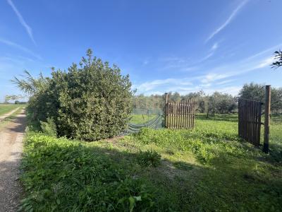 Strada del Querciolo, Grosseto, Toscana 58100, Italy