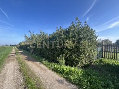 Strada del Querciolo, Grosseto, Toscana 58100, Italy