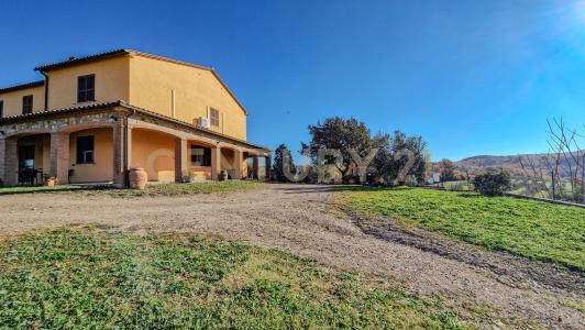 Loc. Poderi di Montemerano, Manciano, Toscana 58014, איטליה