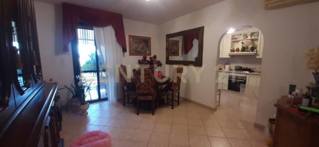 Via Belgio, Grosseto, Toscana 58100, Italy