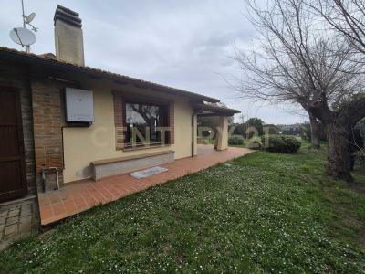 Strada Provinciale 120 Principina Terra, Grosseto, Toscana 58100, Italy