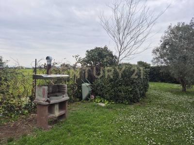 Strada Provinciale 120 Principina Terra, Grosseto, Toscana 58100, Italy