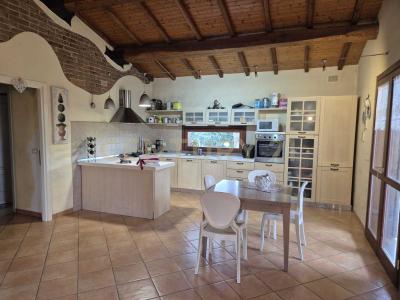 Strada Provinciale 120 Principina Terra, Grosseto, Toscana 58100, Italy