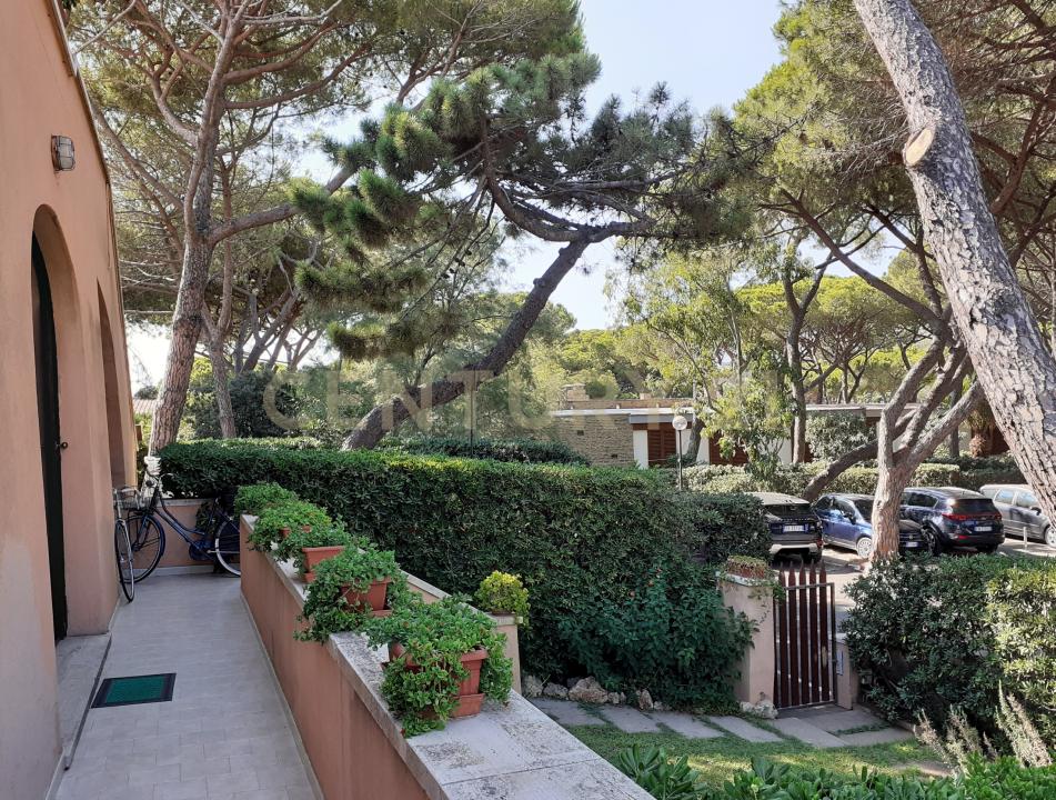 Via Pietro Micca, Castiglione Della Pescaia, Toscana 58043, איטליה