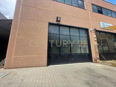 Strada Vicinale del Grottino, Monte Argentario, Toscana 58019, Italia