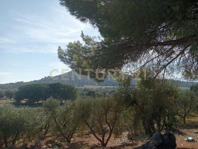 via provinca, Orbetello, Toscana 58015, Italy