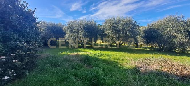 Via Ponte Ilario, Orbetello, Toscana 58015, Italy