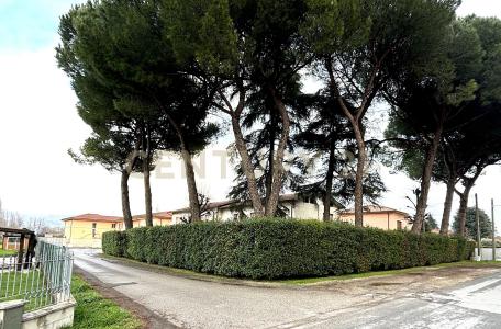 Via dei Coselli, Capannori, Toscana 55012, Italy