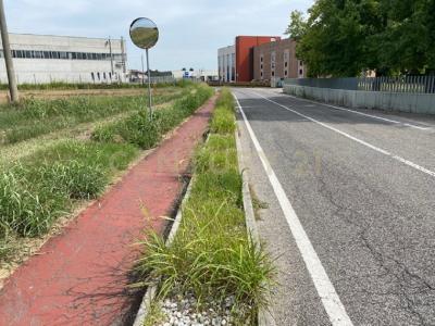 Via le Cassere, Oppeano, Veneto 37050, Italy