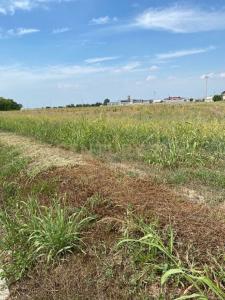 Via le Cassere, Oppeano, Veneto 37050, Italy