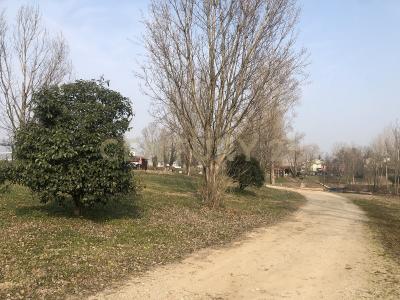 Via Acquagrossa, San Martino Buon Albergo, Veneto 37036, İtalya