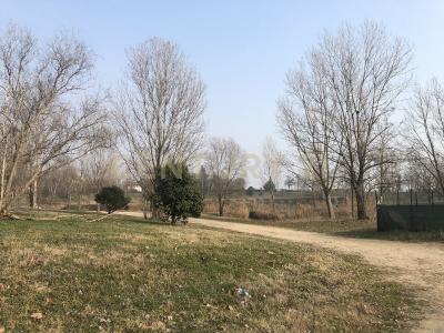 Via Acquagrossa, San Martino Buon Albergo, Veneto 37036, İtalya