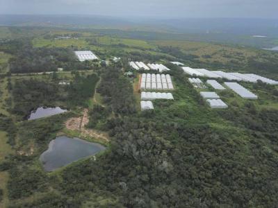 East London, Eastern Cape, South Africa