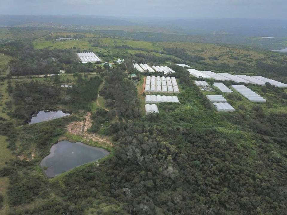 East London, Eastern Cape, South Africa