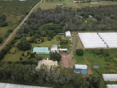 East London, Eastern Cape, South Africa