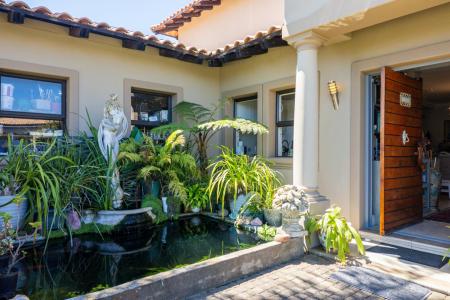 Южная Африка