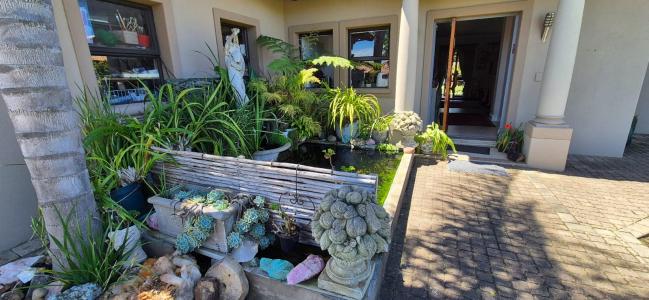 Южная Африка