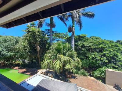 Durban, KwaZulu Natal, South Africa