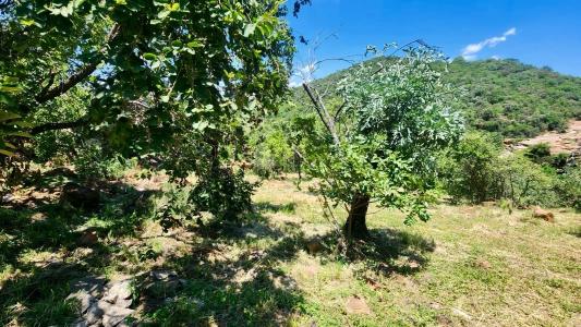 Rustenburg, North West, South Africa