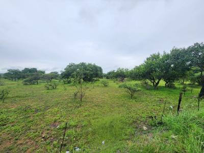 Polokwane, Limpopo, Южная Африка