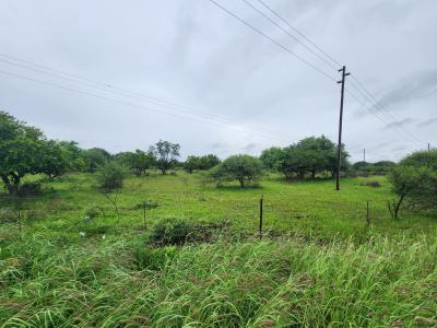 Polokwane, Limpopo, Южная Африка