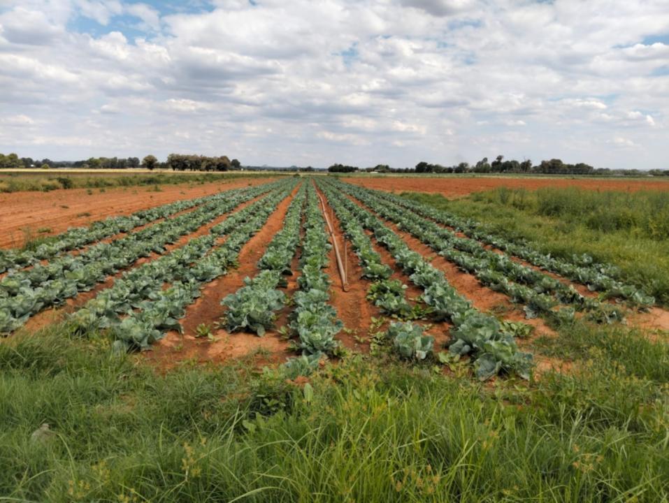 Bloemfontein, Free State, South Africa